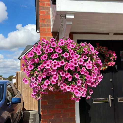 🔥Last Day 60% OFF🔥UV Resistant Artificial Petunias Flowers